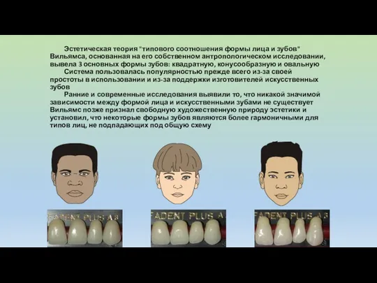 Эстетическая теория "типового соотношения формы лица и зубов" Вильямса, основанная