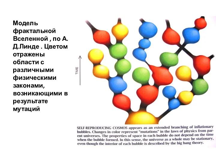 Модель фрактальной Вселенной , по А.Д.Линде . Цветом отражены области