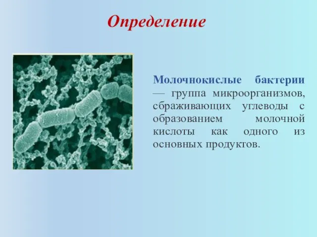 Определение Молочнокислые бактерии — группа микроорганизмов, сбраживающих углеводы с образованием