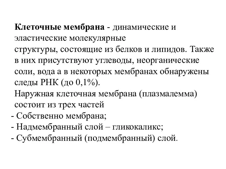 Клеточные мембрана - динамические и эластические молекулярные структуры, состоящие из