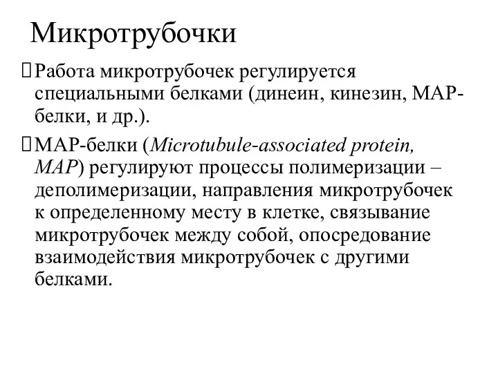 Микротрубочки Работа микротрубочек регулируется специальными белками (динеин, кинезин, МАР-белки, и