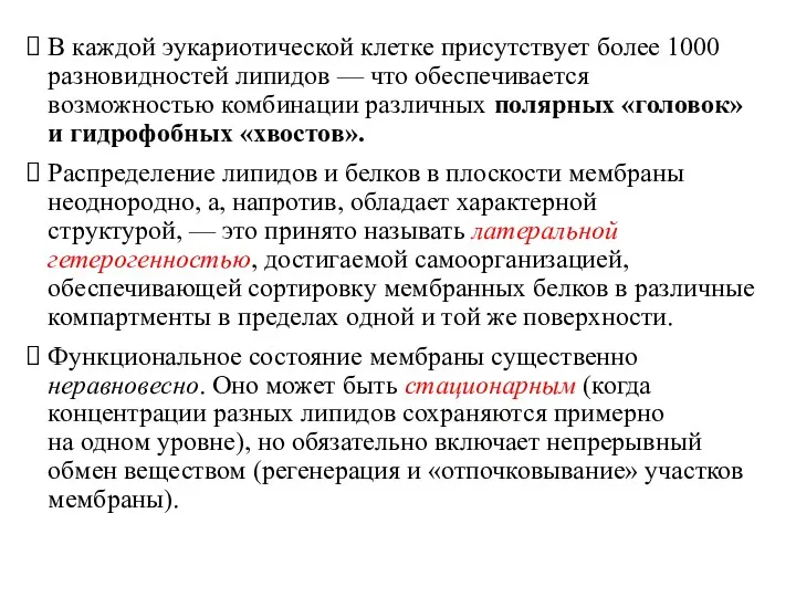 В каждой эукариотической клетке присутствует более 1000 разновидностей липидов —