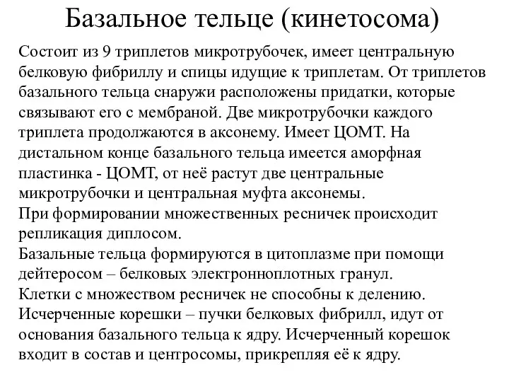 Базальное тельце (кинетосома) Состоит из 9 триплетов микротрубочек, имеет центральную