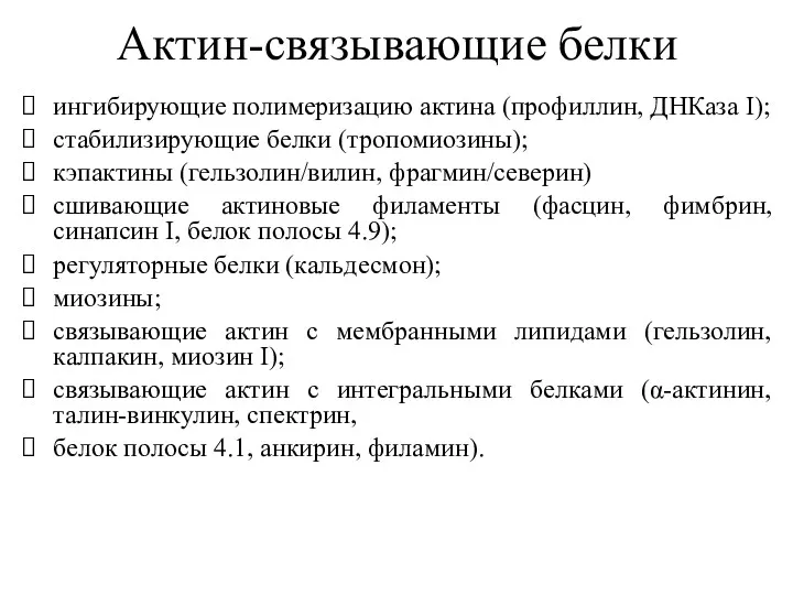 Актин-связывающие белки ингибирующие полимеризацию актина (профиллин, ДНКаза I); стабилизирующие белки