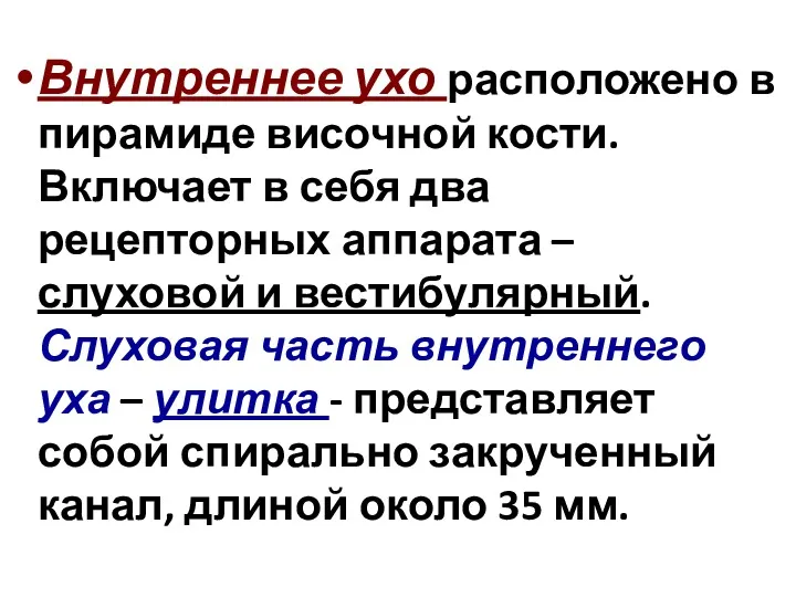 Внутреннее ухо расположено в пирамиде височной кости. Включает в себя два рецепторных аппарата