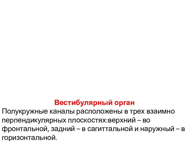 Вестибулярный орган Полукружные каналы расположены в трех взаимно перпендикулярных плоскостях:верхний – во фронтальной,