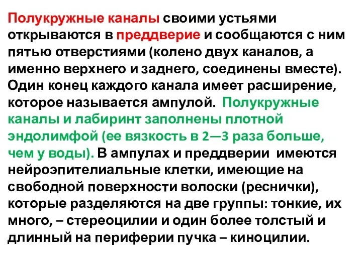 Полукружные каналы своими устьями открываются в преддверие и сообщаются с ним пятью отверстиями