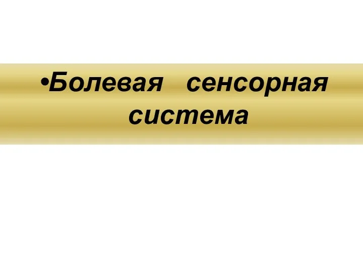 Болевая сенсорная система