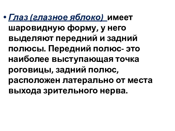 Глаз (глазное яблоко) имеет шаровидную форму, у него выделяют передний и задний полюсы.