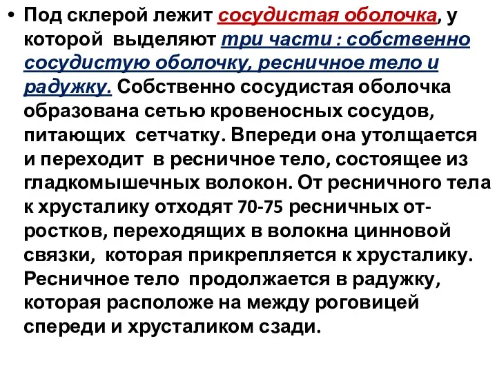 Под склерой лежит сосудистая оболочка, у которой выделяют три части