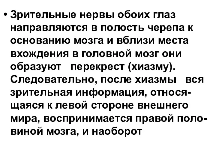 Зрительные нервы обоих глаз направляются в полость черепа к основанию мозга и вблизи