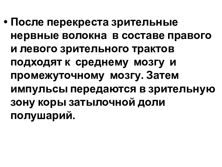 После перекреста зрительные нервные волокна в составе правого и левого