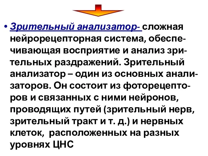 Зрительный анализатор- сложная нейрорецепторная система, обеспе- чивающая восприятие и анализ зри- тельных раздражений.