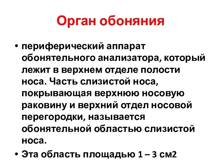 Орган обоняния периферический аппарат обонятельного анализатора, который лежит в верхнем