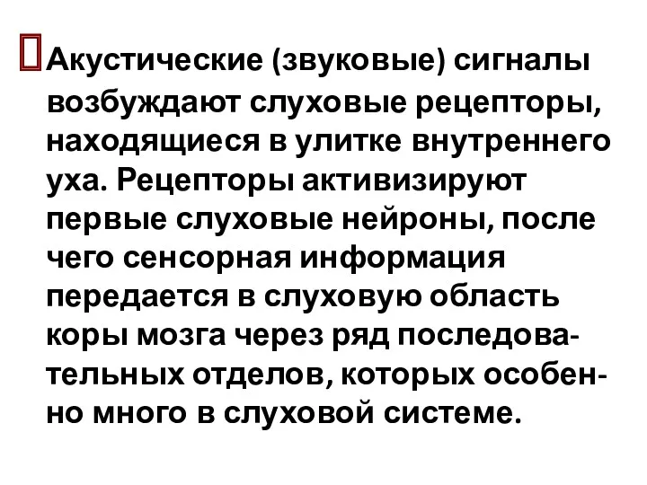 Акустические (звуковые) сигналы возбуждают слуховые рецепторы, находящиеся в улитке внутреннего уха. Рецепторы активизируют