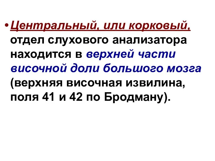 Центральный, или корковый, отдел слухового анализатора находится в верхней части височной доли большого