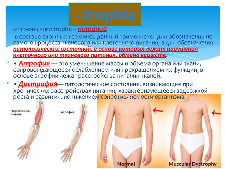 от греческого trophē – питание в составе сложных терминов данный