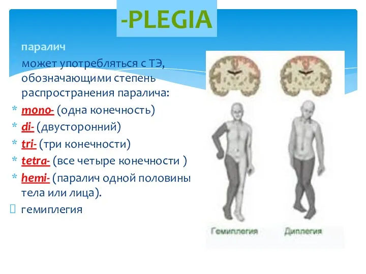 паралич может употребляться с ТЭ, обозначающими степень распространения паралича: mono-