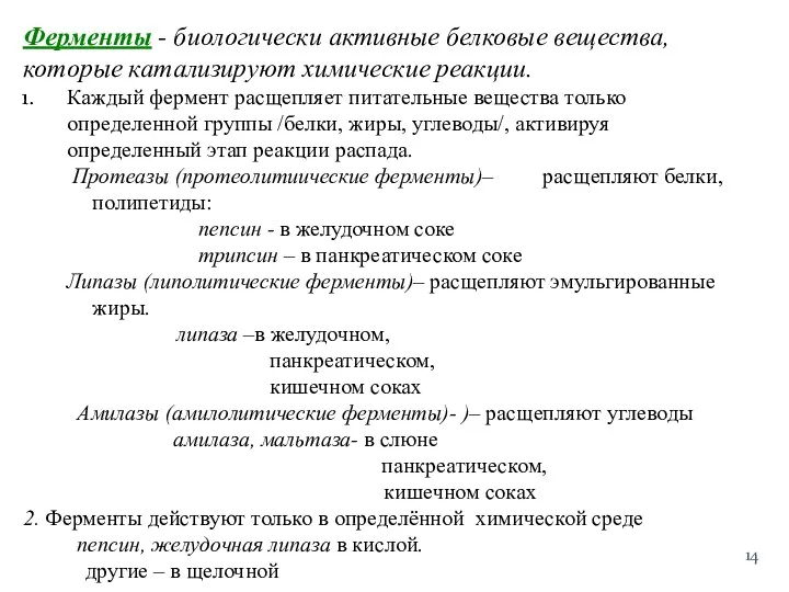 Ферменты - биологически активные белковые вещества, которые катализируют химические реакции.