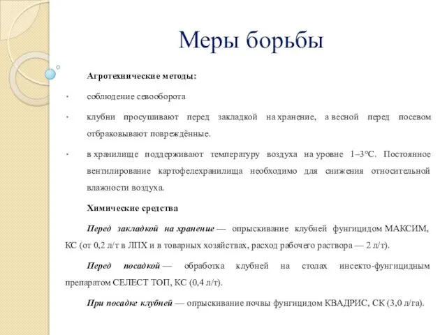 Меры борьбы Агротехнические методы: соблюдение севооборота клубни просушивают перед закладкой