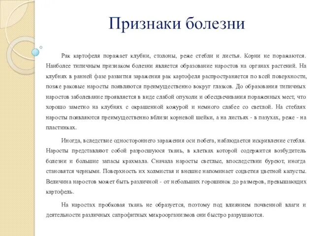 Признаки болезни Рак картофеля поражает клубни, столоны, реже стебли и