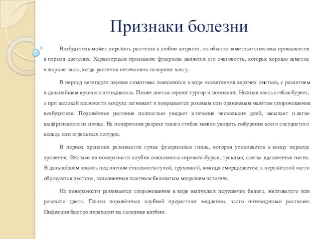 Признаки болезни Возбудитель может поражать растения в любом возрасте, но