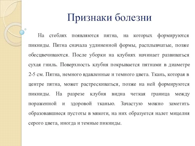 Признаки болезни На стеблях появляются пятна, на которых формируются пикниды.