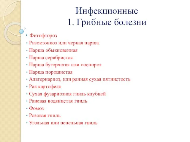 Инфекционные 1. Грибные болезни Фитофтороз Ризоктониоз или черная парша Парша