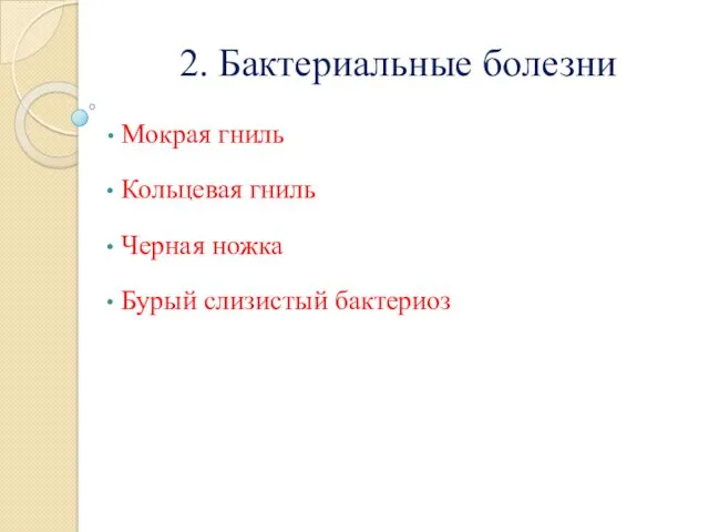 2. Бактериальные болезни Мокрая гниль Кольцевая гниль Черная ножка Бурый слизистый бактериоз