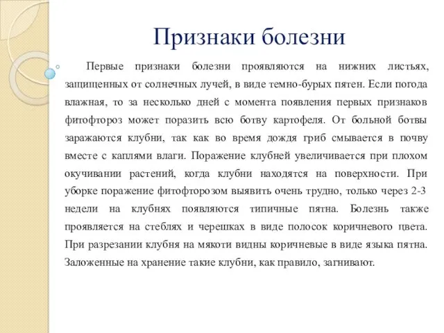 Признаки болезни Первые признаки болезни проявляются на нижних листьях, защищенных