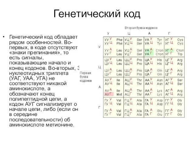 Генетический код Генетический код обладает рядом особенностей. Во-первых, в коде