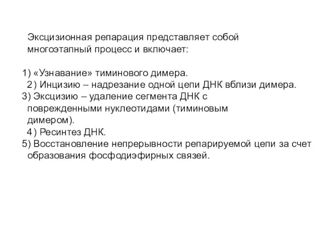 Эксцизионная репарация представляет собой многоэтапный процесс и включает: ) «Узнавание»