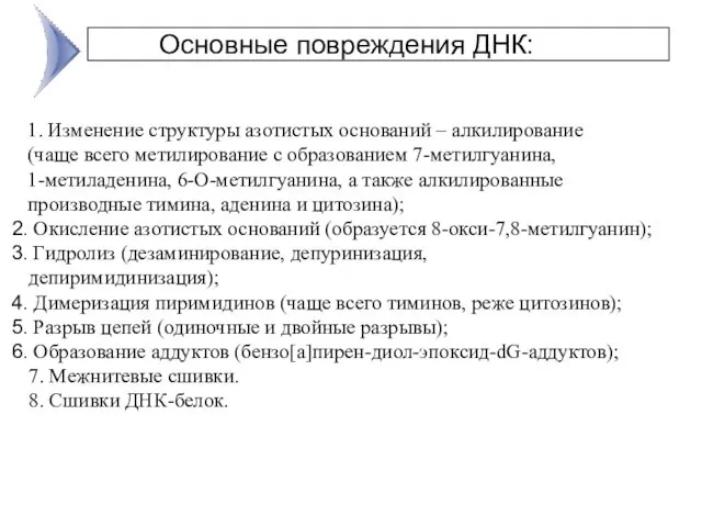 1. Изменение структуры азотистых оснований – алкилирование (чаще всего метилирование