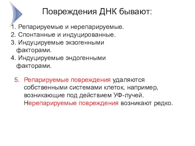 Репарируемые и нерепарируемые. Спонтанные и индуцированные. Индуцируемые экзогенными факторами. Индуцируемые