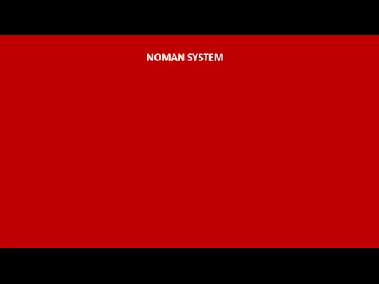 NOMAN SYSTEM