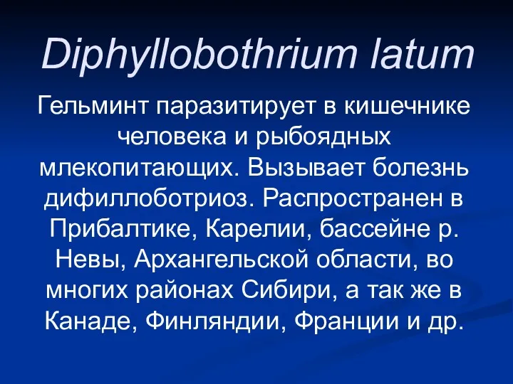 Diphyllobothrium latum Гельминт паразитирует в кишечнике человека и рыбоядных млекопитающих.