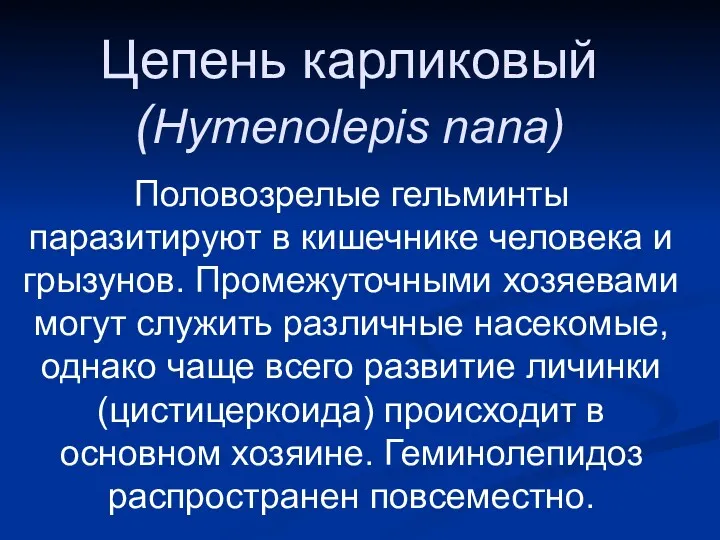 Цепень карликовый (Hymenolepis nana) Половозрелые гельминты паразитируют в кишечнике человека