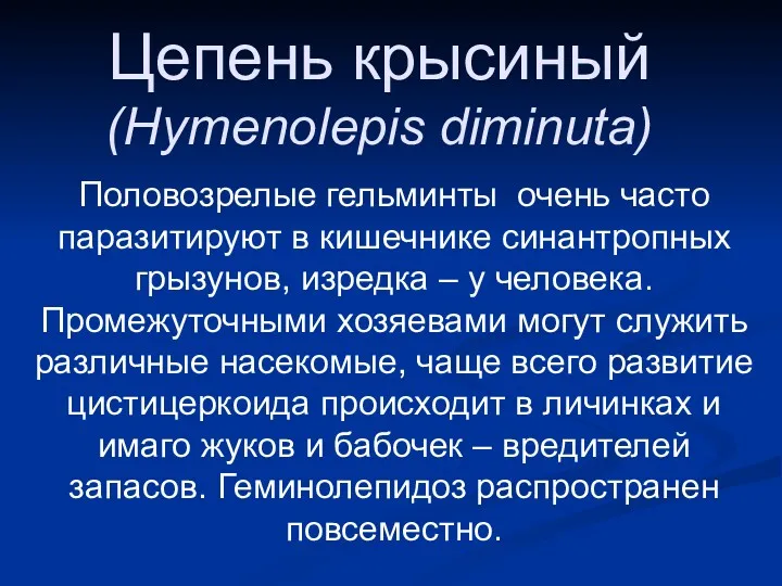 Цепень крысиный (Hymenolepis diminuta) Половозрелые гельминты очень часто паразитируют в