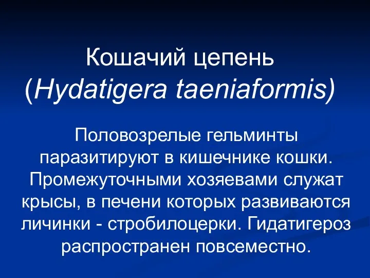 Кошачий цепень (Hydatigera taeniaformis) Половозрелые гельминты паразитируют в кишечнике кошки.