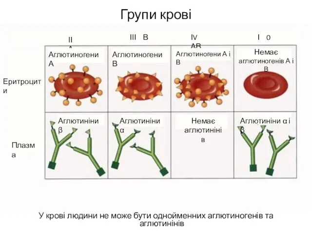 Групи крові У крові людини не може бути однойменних аглютиногенів
