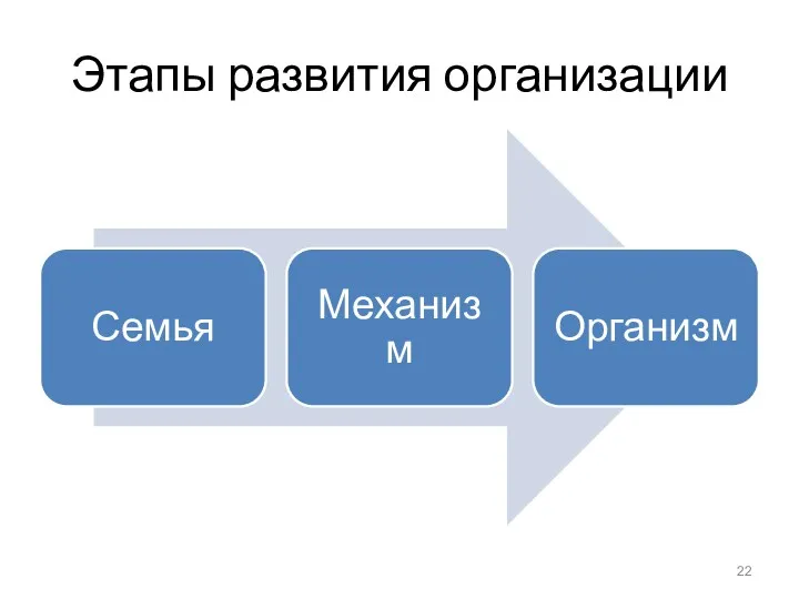 Этапы развития организации