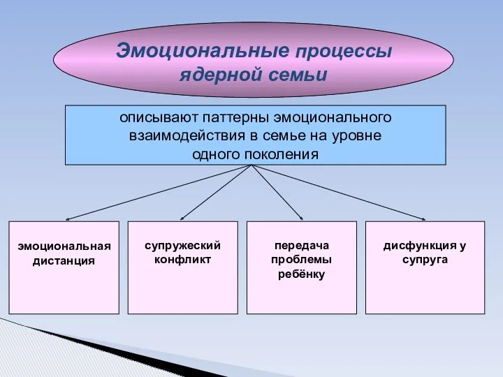 Эмоциональные процессы ядерной семьи описывают паттерны эмоционального взаимодействия в семье на уровне одного поколения