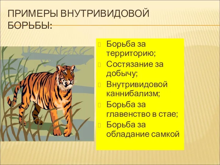 ПРИМЕРЫ ВНУТРИВИДОВОЙ БОРЬБЫ: Борьба за территорию; Состязание за добычу; Внутривидовой