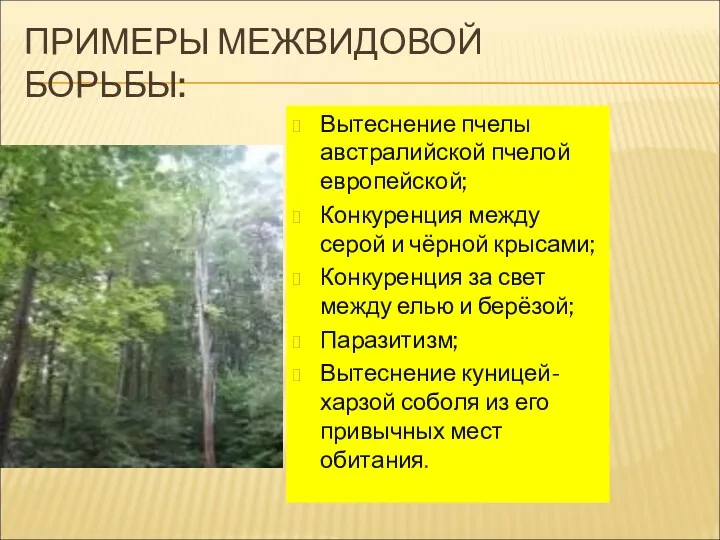 ПРИМЕРЫ МЕЖВИДОВОЙ БОРЬБЫ: Вытеснение пчелы австралийской пчелой европейской; Конкуренция между