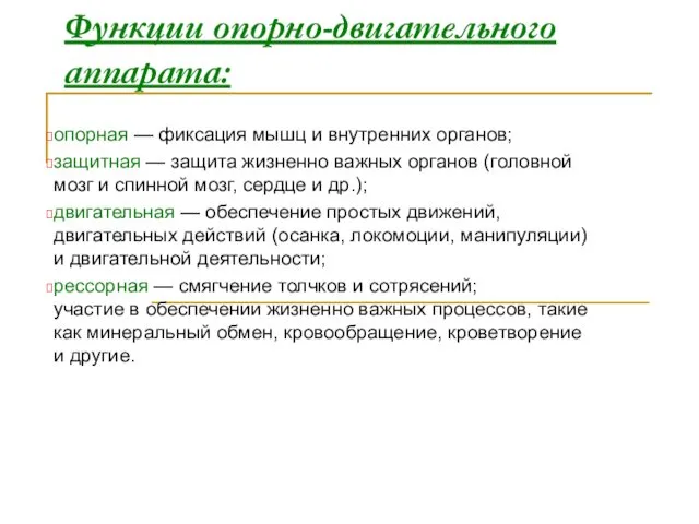 Функции опорно-двигательного аппарата: опорная — фиксация мышц и внутренних органов;