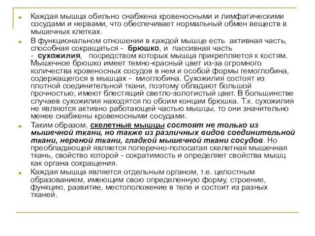 Каждая мышца обильно снабжена кровеносными и лимфатическими сосудами и нервами,