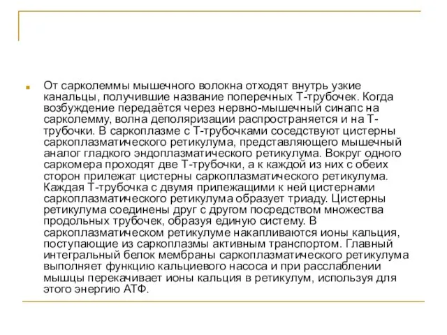 От сарколеммы мышечного волокна отходят внутрь узкие канальцы, получившие название