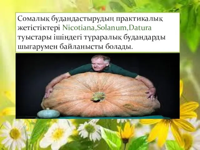 Сомалық будандастырудың практикалық жетістіктері Nicotiana,Solanum,Datura туыстары ішіндегі түраралық будандарды шығарумен байланысты болады.