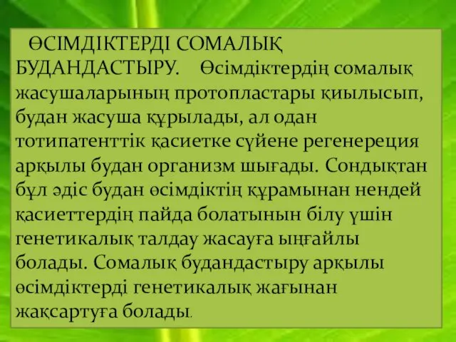 ӨСІМДІКТЕРДІ СОМАЛЫҚ БУДАНДАСТЫРУ. Өсімдіктердің сомалық жасушаларының протопластары қиылысып, будан жасуша