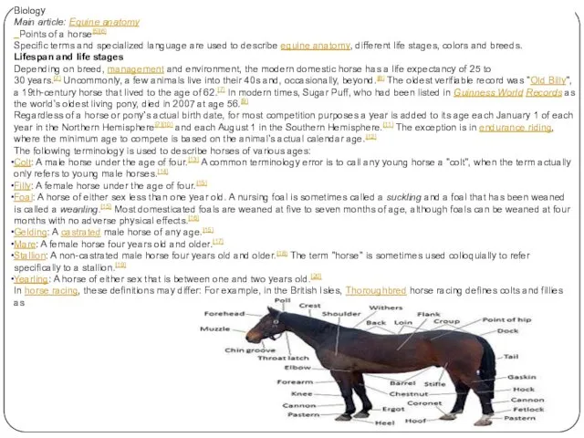 Biology Main article: Equine anatomy Points of a horse[5][6] Specific